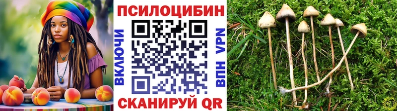 продажа наркотиков  Павловск  Галлюциногенные грибы Magic Shrooms 